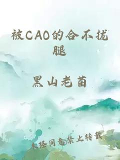 被CAO的合不拢腿