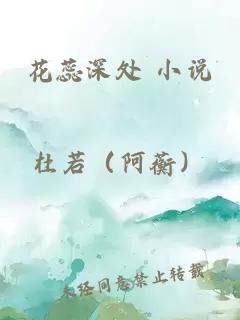 花蕊深处 小说