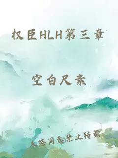 权臣HLH第三章