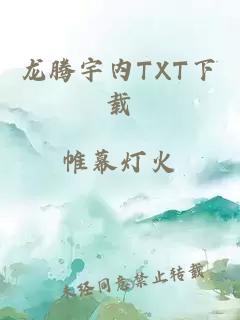 龙腾宇内TXT下载