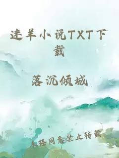 迷羊小说TXT下载