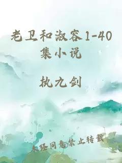 老卫和淑容1-40集小说