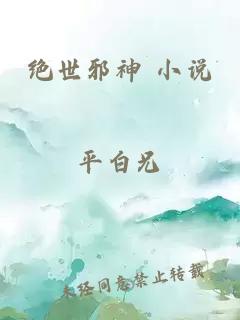 绝世邪神 小说