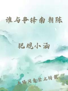 谁与争锋南朝陈