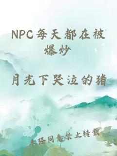 NPC每天都在被爆炒