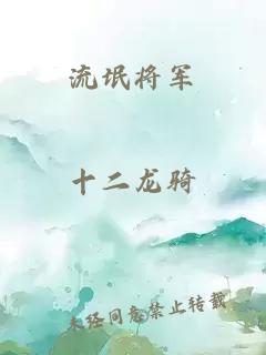 流氓将军