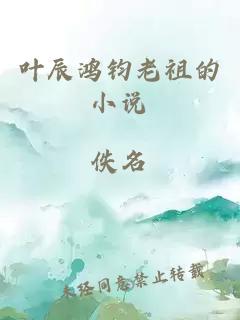 叶辰鸿钧老祖的小说