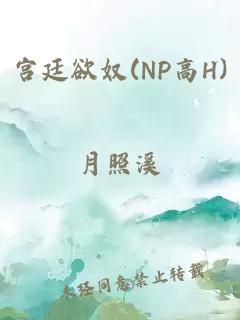 宫廷欲奴(NP高H)