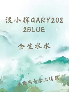 浪小辉GARY2022BLUE