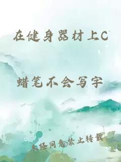 在健身器材上C