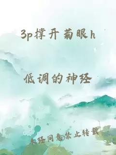 3p撑开菊眼h