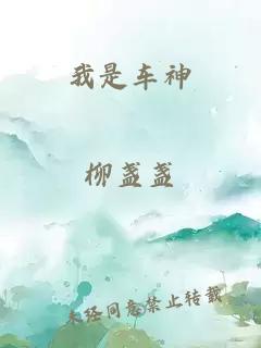 我是车神