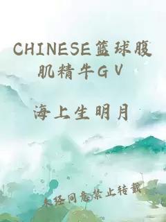 CHINESE篮球腹肌精牛GⅤ