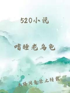 520小说