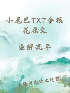 小尾巴TXT金银花原文