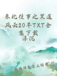 东北往事之黑道风云20年TXT全集下载