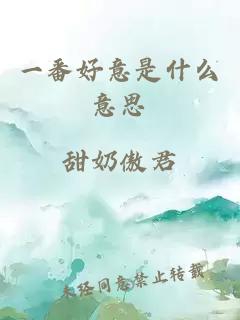 一番好意是什么意思