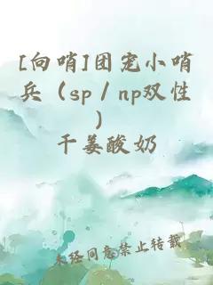 [向哨]团宠小哨兵（sp／np双性）