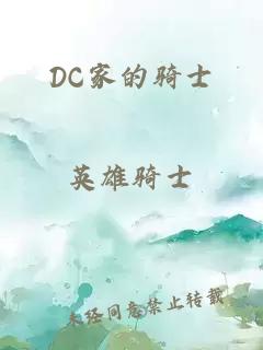 DC家的骑士