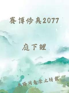 赛博修真2077