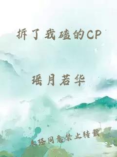 拆了我磕的CP