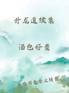 升龙道续集