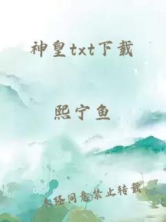 神皇txt下载