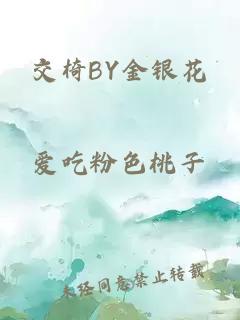 交椅BY金银花